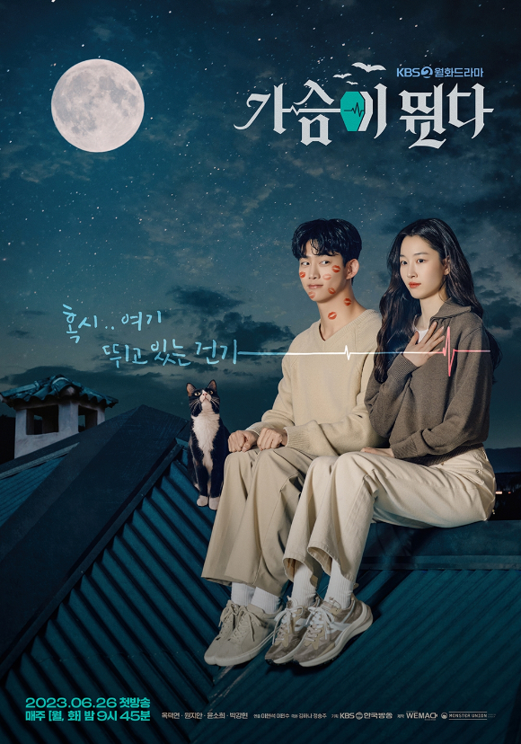 3.3 이미지