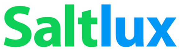  윤석열 정부가 IT 관련 국정 핵심 키워드로 '디지털 플랫폼 정부'를 내세운 가운데 인공지능, 빅데이터 전문기업 솔트룩스가 주목받고 있다. 사진은 솔트룩스 로고. [사진=솔트룩스]